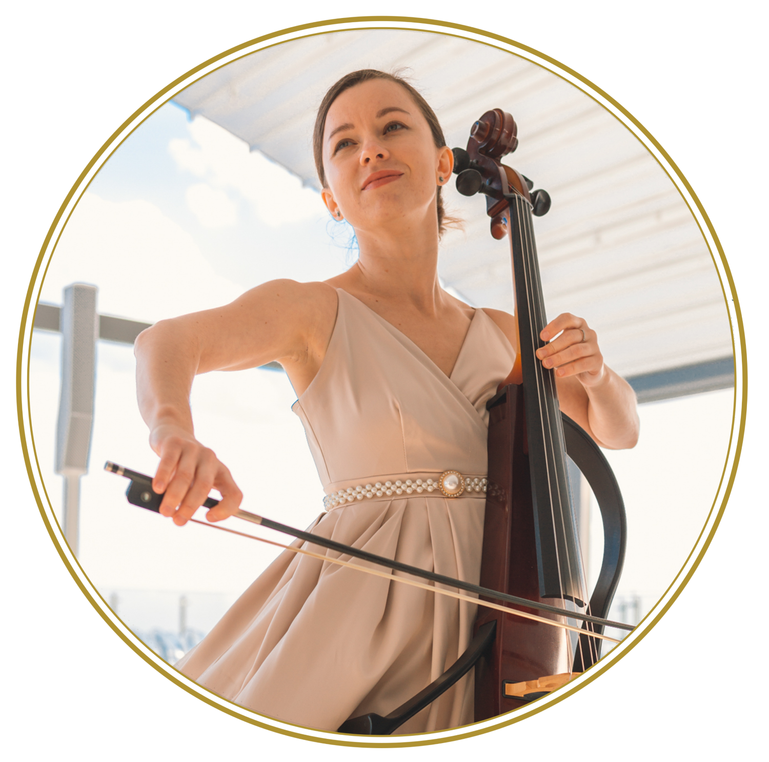 Electric Cellist